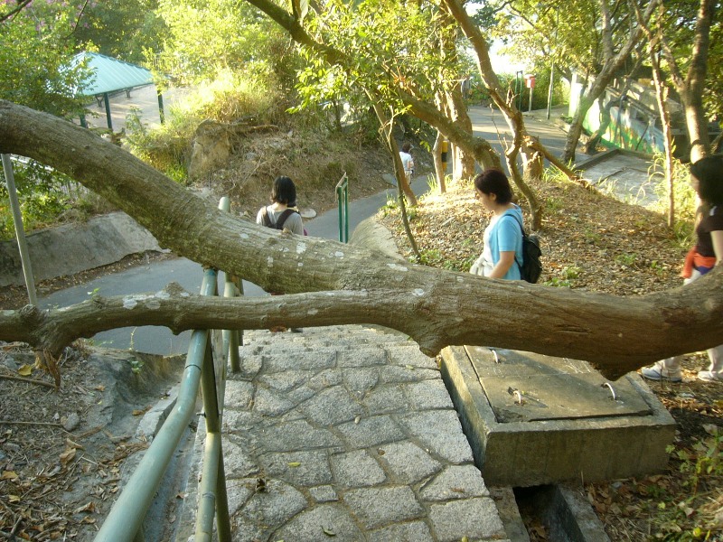 香港郊游之(二):港岛摩星岭