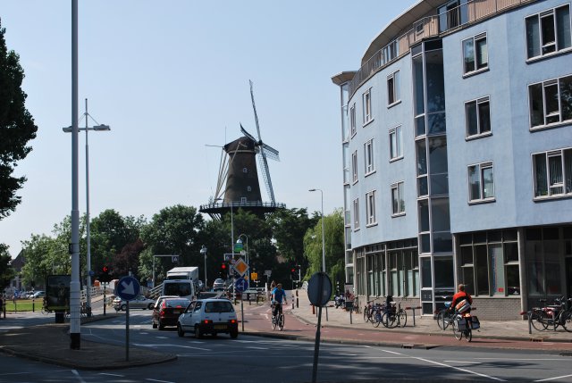 DSC_0489.JPG