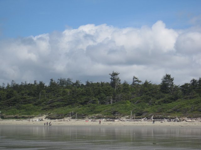 IMG_2308_调整大小.JPG