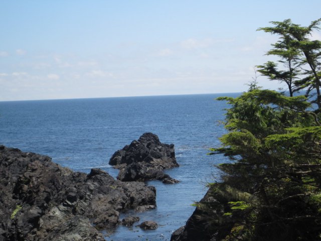 IMG_2324_调整大小.JPG