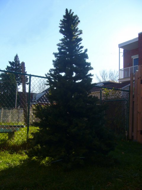 P1310001.JPG