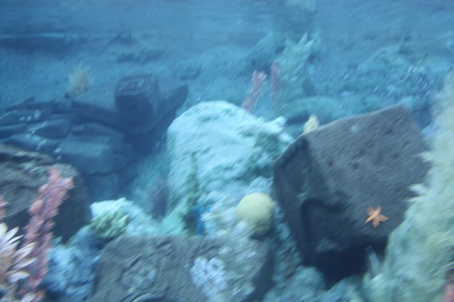 205.JPG
