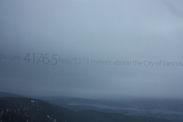 269.JPG