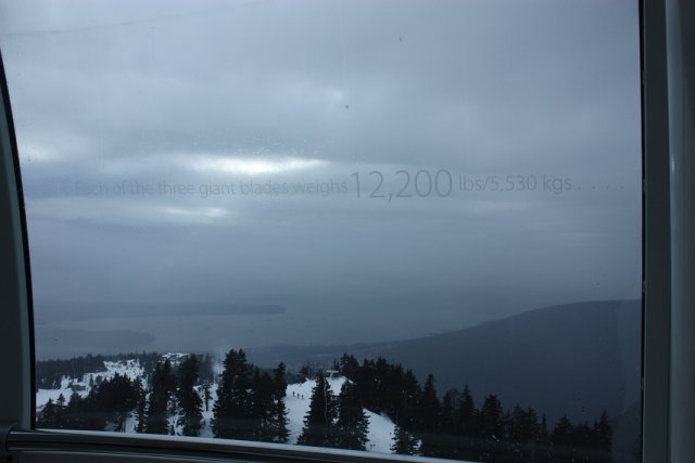 302.JPG