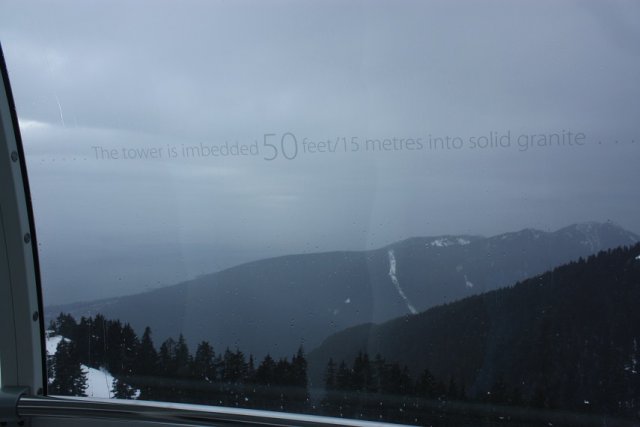 301.JPG