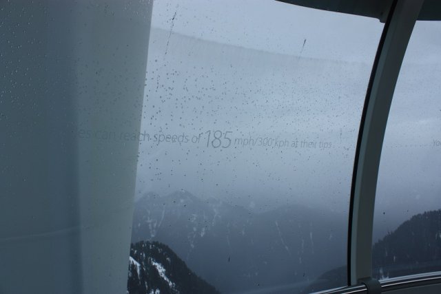 299.JPG