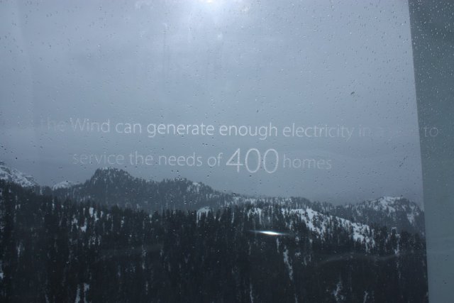 298.JPG
