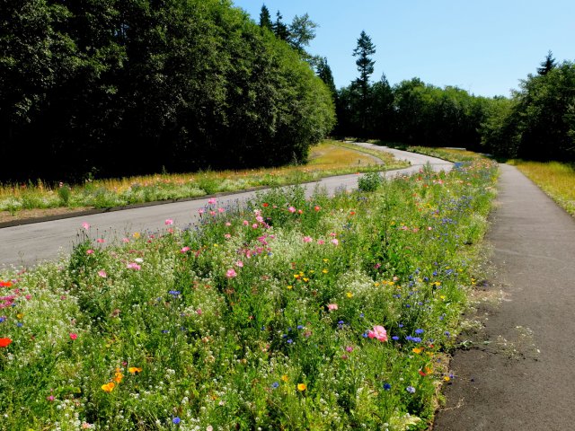 DSCF0816.JPG