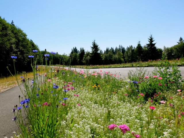 DSCF0794.JPG