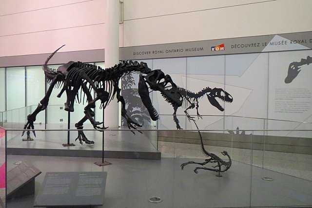 多伦多机场的恐龙.jpg